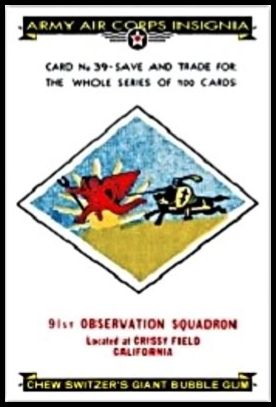39 91st Observation Squadron